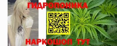 ешки Волгодонск
