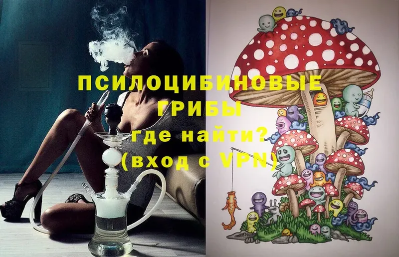 Псилоцибиновые грибы Cubensis  сколько стоит  Азов 