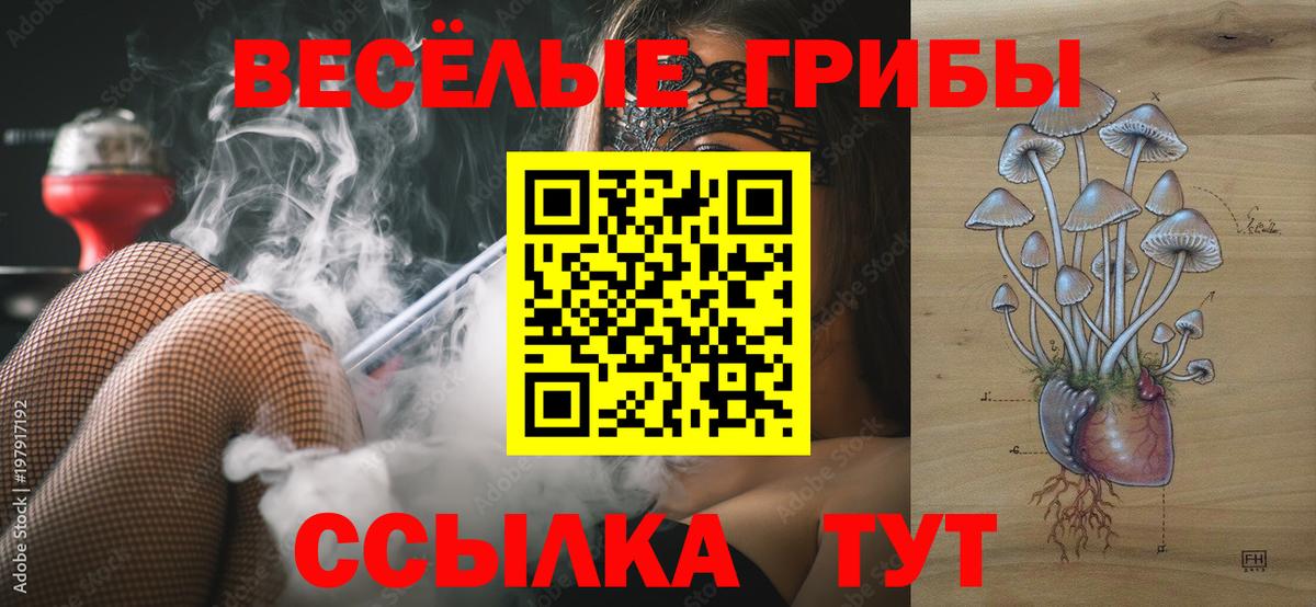 Бошки Шишки Азов