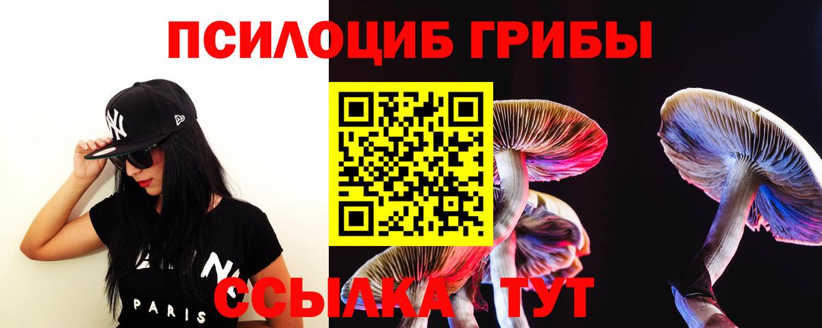 Псилоцибиновые грибы MAGIC MUSHROOMS Азов